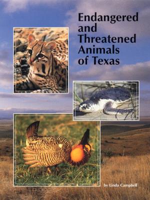 Endangered and Threatened Animals of Texas Their Life History and Management by Linda Campbell
