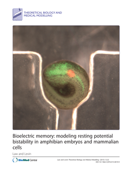 Bioelectric Memory: Modeling Resting Potential Bistability in Amphibian Embryos and Mammalian Cells Law and Levin