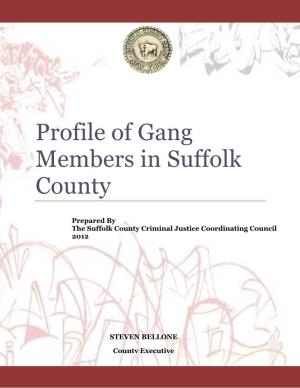 Profile of Gang Members in Suffolk County, NY DRAFT
