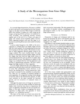 A Study of the Microorganisms from Grass Silage I