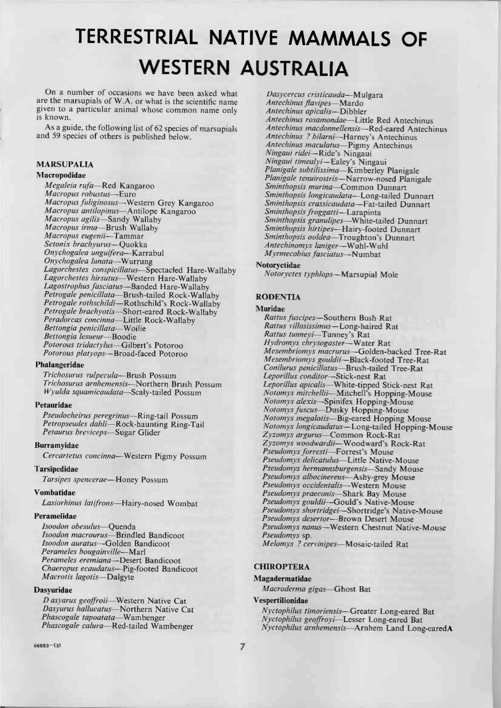 Terrestrial Native Mammals of Western Australia