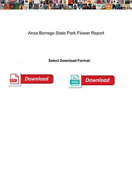 Anza Borrego State Park Flower Report