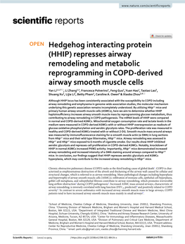 Hedgehog Interacting Protein (HHIP) Represses Airway Remodeling And