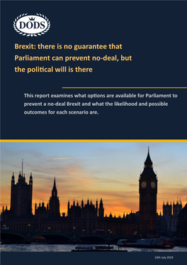 Brexit: There Is No Guarantee That Parliament Can Prevent No-Deal, but the Political Will Is There