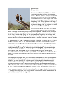 Mexican Eagles by Susan Heath Have You Seen a Mexican Eagle? If You Live Along the Texas Coast Chances Are You Have, Even If