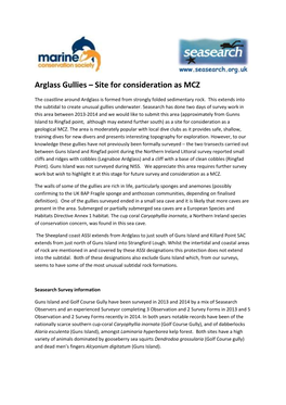 Arglass Gullies – Site for Consideration As MCZ