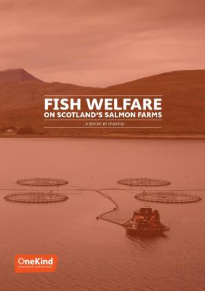 Fish Welfare on Scotland's Salmon Farms
