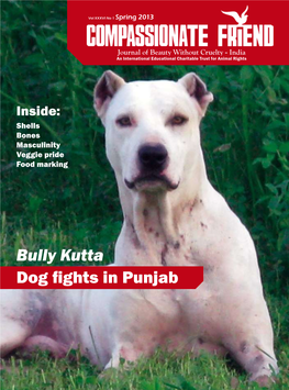 Bully Kutta Dog Fights in Punjab