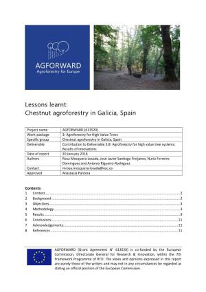 Chestnut Agroforestry in Galicia, Spain