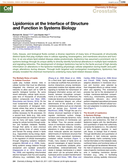 Lipidomics at the Interface of Structure and Function in Systems Biology