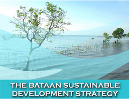Bataan Sustainable Development Strategy Iv