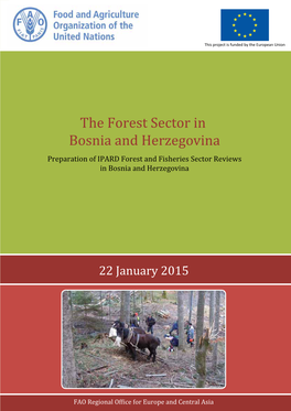 Analysis of the Forest Sector in Bosnia and Herzegovina