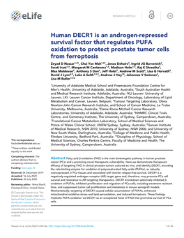 Human DECR1 Is an Androgen-Repressed Survival Factor