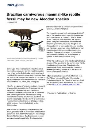 Brazilian Carnivorous Mammal-Like Reptile Fossil May Be New Aleodon Species 14 June 2017