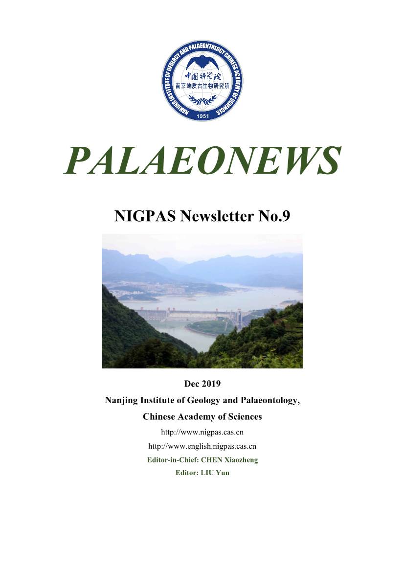 Palaeonews No 9 for 2019 (PDF)