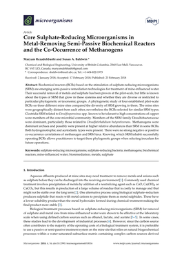 Core Sulphate-Reducing Microorganisms in Metal-Removing Semi-Passive Biochemical Reactors and the Co-Occurrence of Methanogens