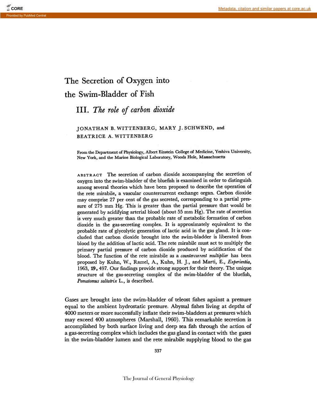 The Secretion of Oxygen Into the Swim-Bladder of Fish III