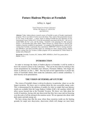 Future Hadron Physics at Fermilab