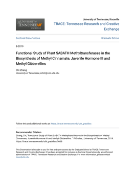 Functional Study of Plant SABATH Methyltransferases in the Biosynthesis of Methyl Cinnamate, Juvenile Hormone III and Methyl Gibberellins