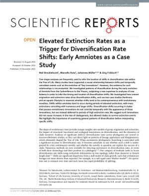 Elevated Extinction Rates As a Trigger for Diversification