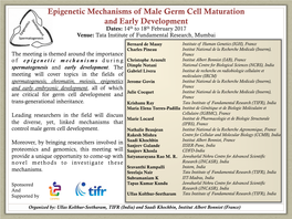 Epigenetic Mechanisms of Male Germ Cell Maturation and Early