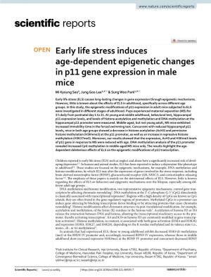 Early Life Stress Induces Age-Dependent Epigenetic Changes