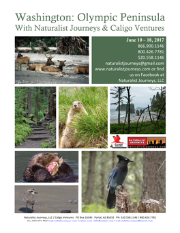 Washington: Olympic Peninsula with Naturalist Journeys & Caligo Ventures