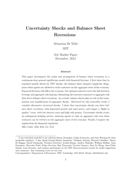 Uncertainty Shocks and Balance Sheet Recessions