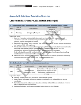 Critical Infrastructure Adaptation Strategies