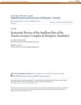 Chiroptera: Natalidae) Jose Alberto Ottenwalder Museo Nacional De Historia Natural, Republica Dominicana