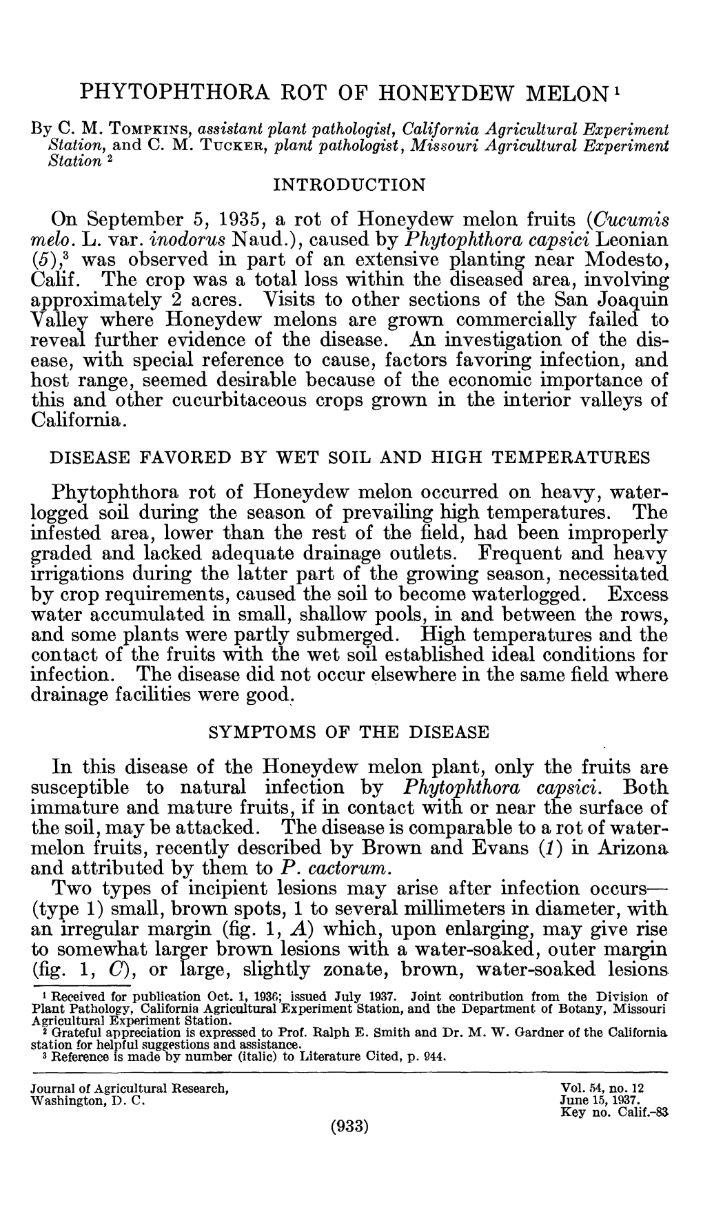 PHYTOPHTHORA ROT of HONEYDEW MELON ' by C