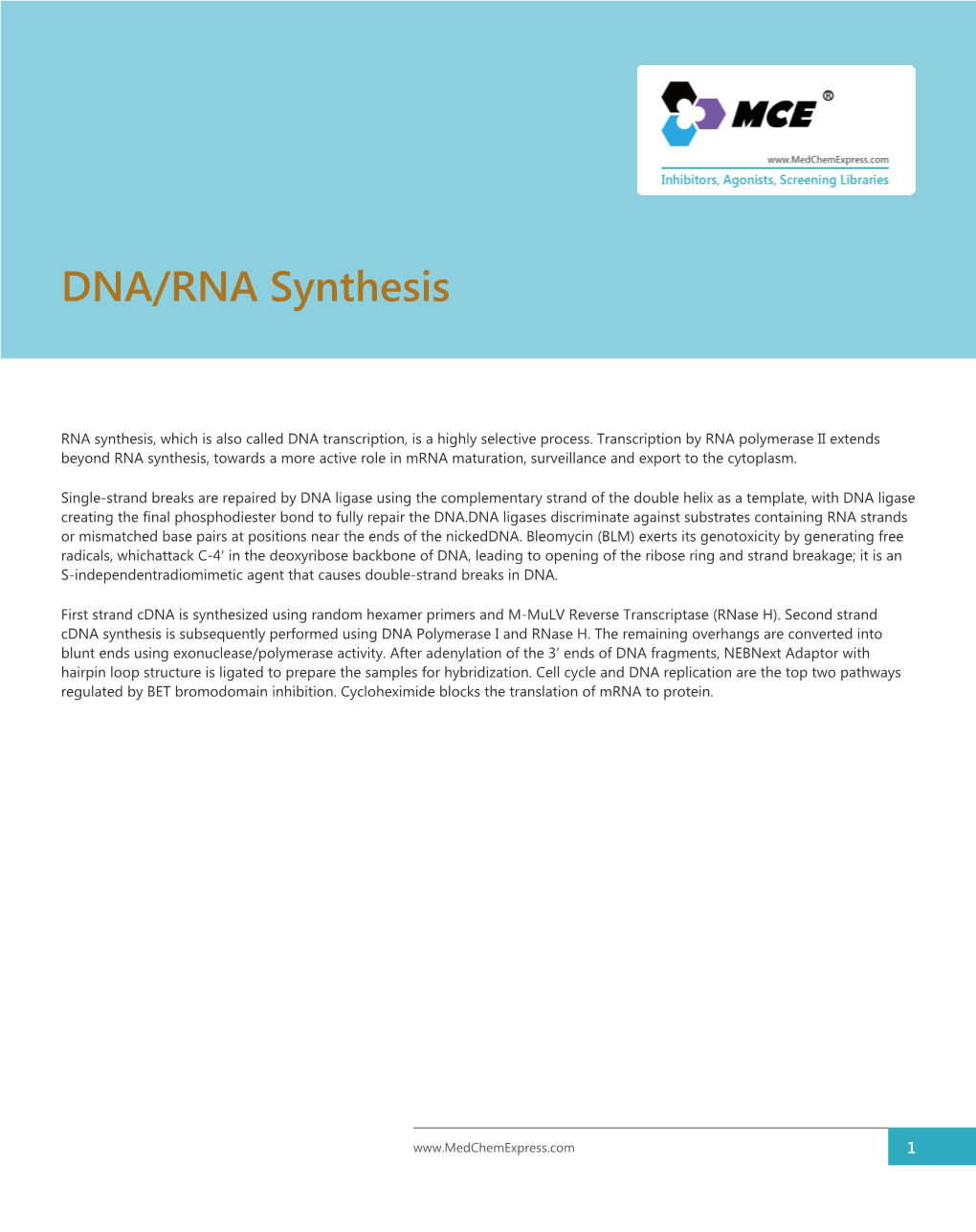 DNA/RNA Synthesis