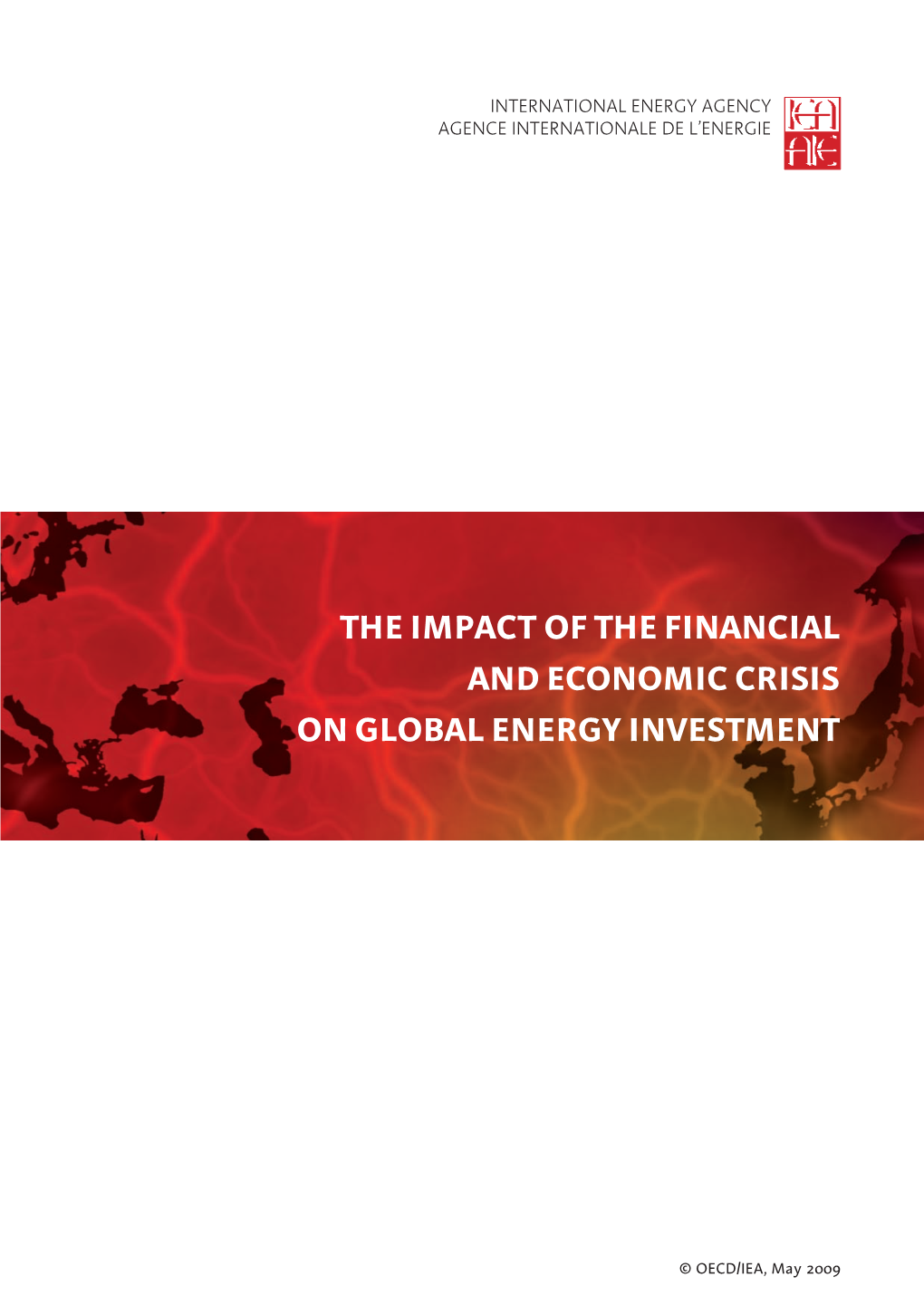The Impact of the Financial and Economic Crisis on Energy Investment