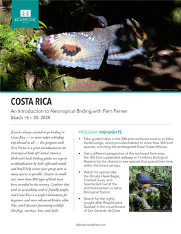 COSTA RICA an Introduction to Neotropical Birding with Fern Ferner March 14 – 20, 2020