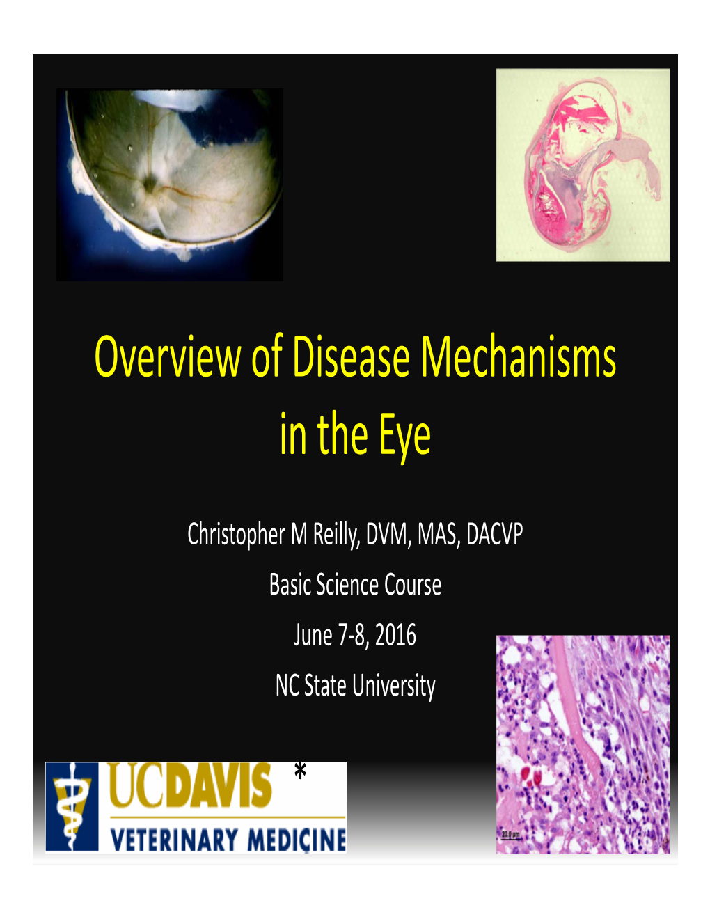 Overview of Disease Mechanisms in the Eye