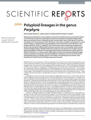 Polyploid Lineages in the Genus Porphyra Elena Varela-Álvarez 1, João Loureiro2, Cristina Paulino1 & Ester A