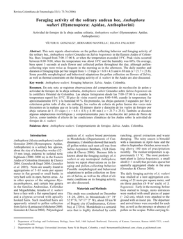 Foraging Activity of the Solitary Andean Bee, Anthophora Walteri (Hymenoptera: Apidae, Anthophorini)