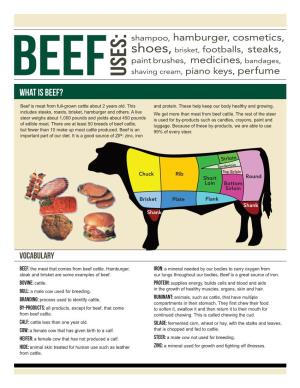 What Is BEEF?