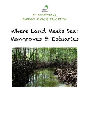Where Land Meets Sea: Mangroves & Estuaries