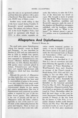 Allagoptera and Diplothemium