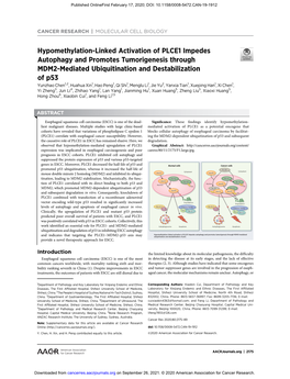 Hypomethylation-Linked Activation of PLCE1 Impedes