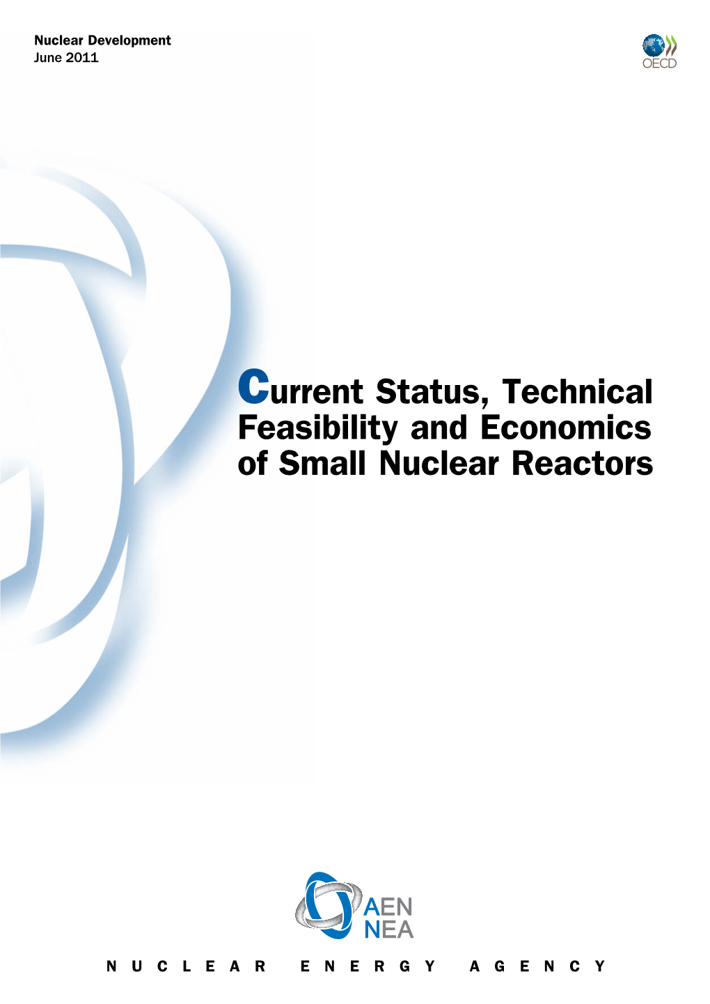 Current Status, Technical Feasibility and Economics of Small Nuclear Reactors