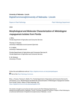 Morphological and Molecular Characterization of &lt;I&gt;Meloidogyne