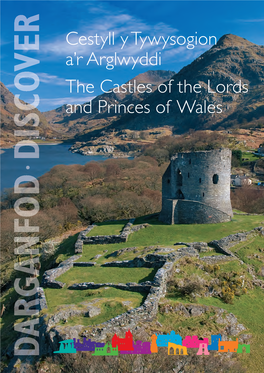 Cestyll Y Tywysogion A'r Arglwyddi the Castles of the Lords and Princes of Wales