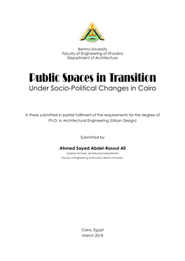 Public Spaces in Transition Under Socio-Political Changes in Cairo