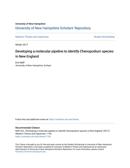 Developing a Molecular Pipeline to Identify Chenopodium Species in New England