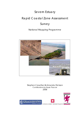 Severn Estuary RCZAS NMP Report 2008