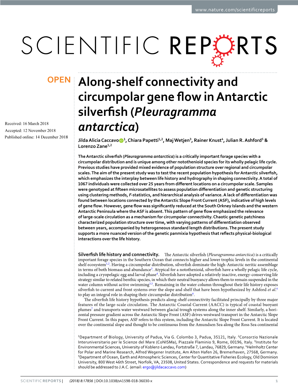 Along-Shelf Connectivity and Circumpolar Gene Flow in Antarctic