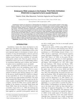 Embryonic Rnai Analysis in the Firebrat, Thermobia Domestica