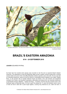 Brazil's Eastern Amazonia